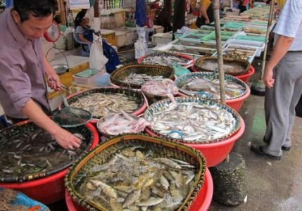 水產品放心吃！多地市場核酸檢測陰性，安全有保障